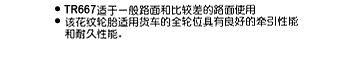 TR667 - Chinese Text